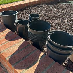Plant Pots $15