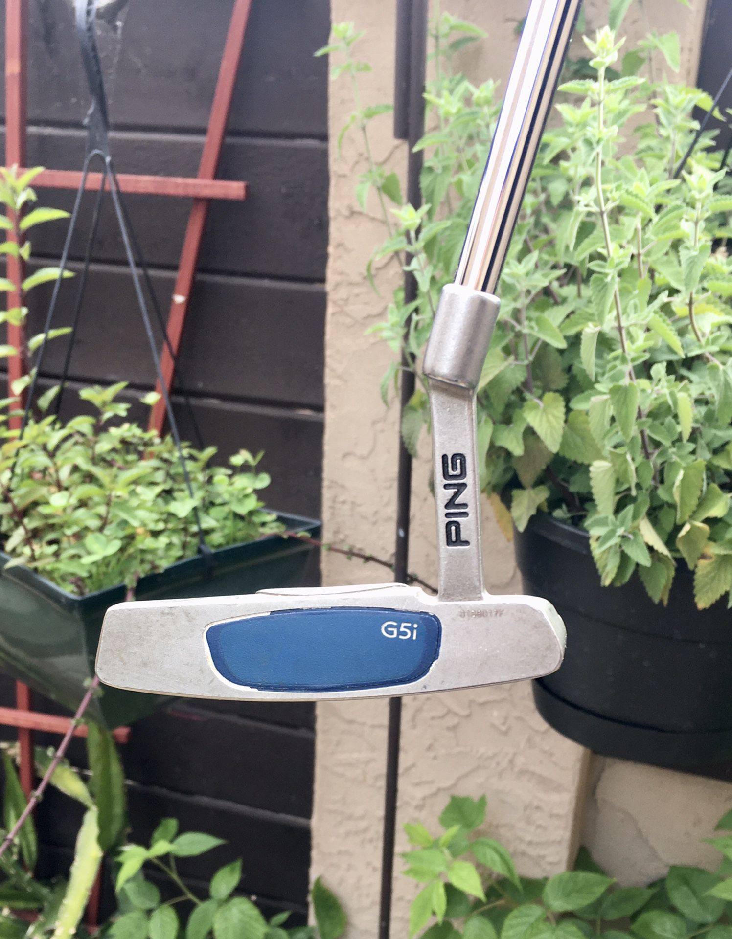Ping G5i BlackDot Anser Putter 35in