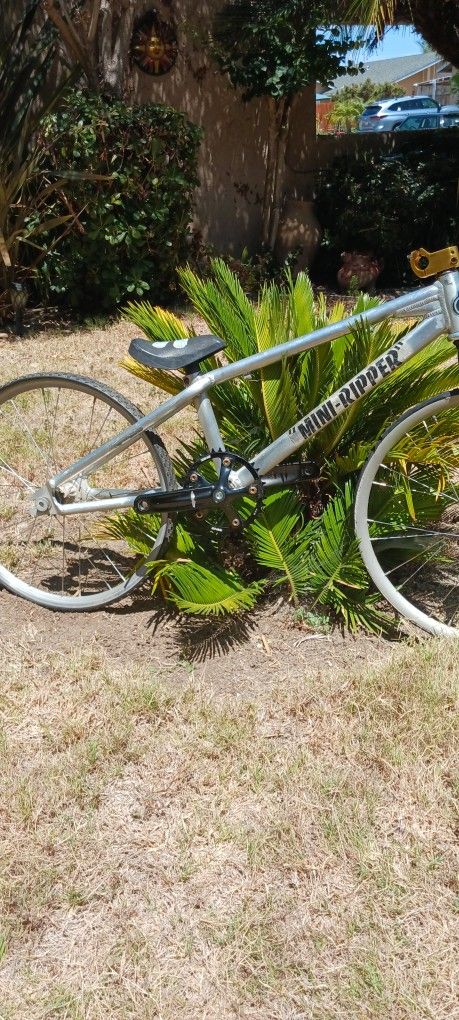 BMX Mini Ripper