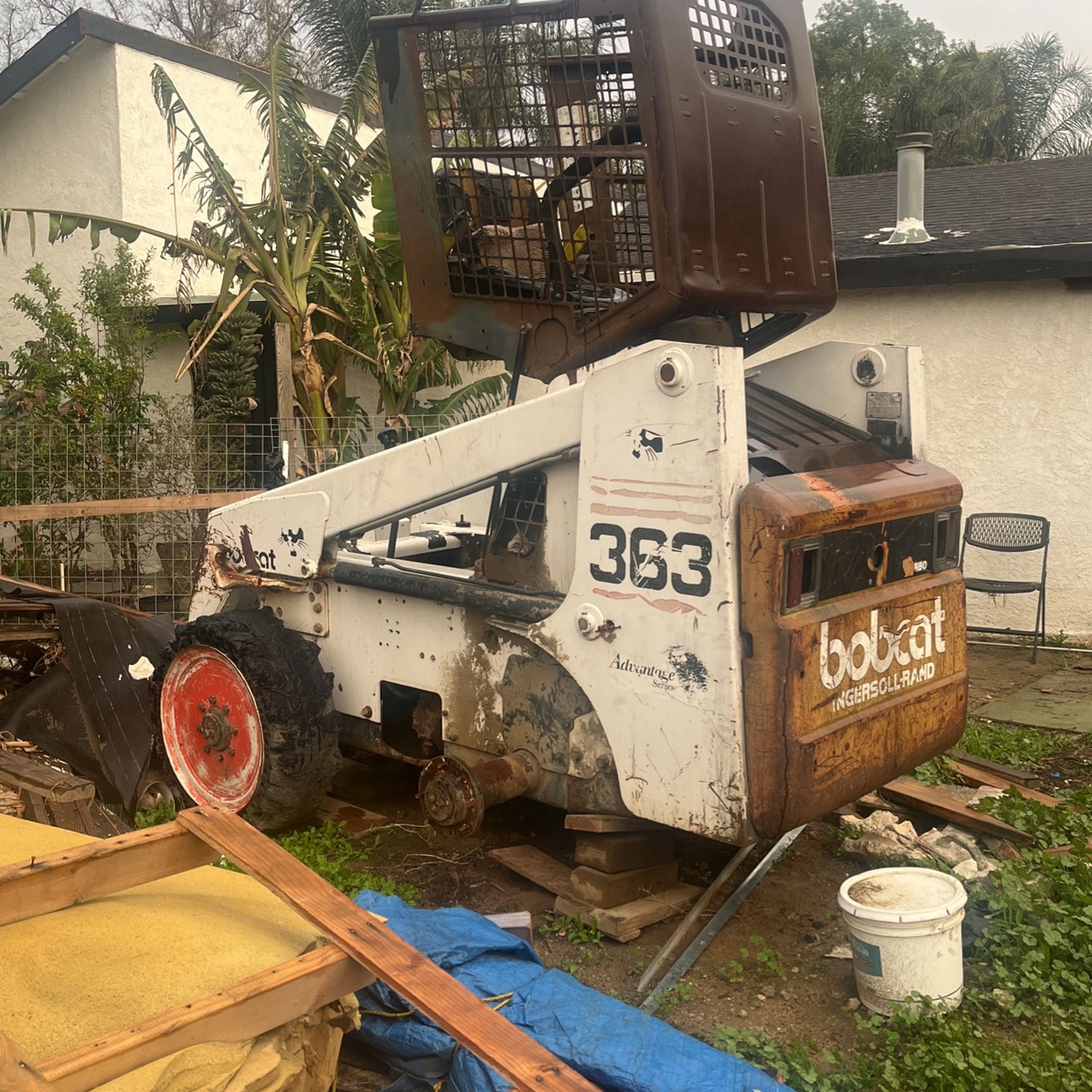 Bobcat 