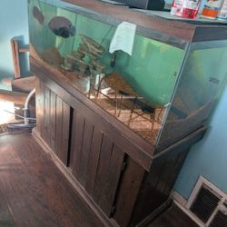Fish Tank