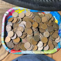 Wheat Pennies Starting Bid $200