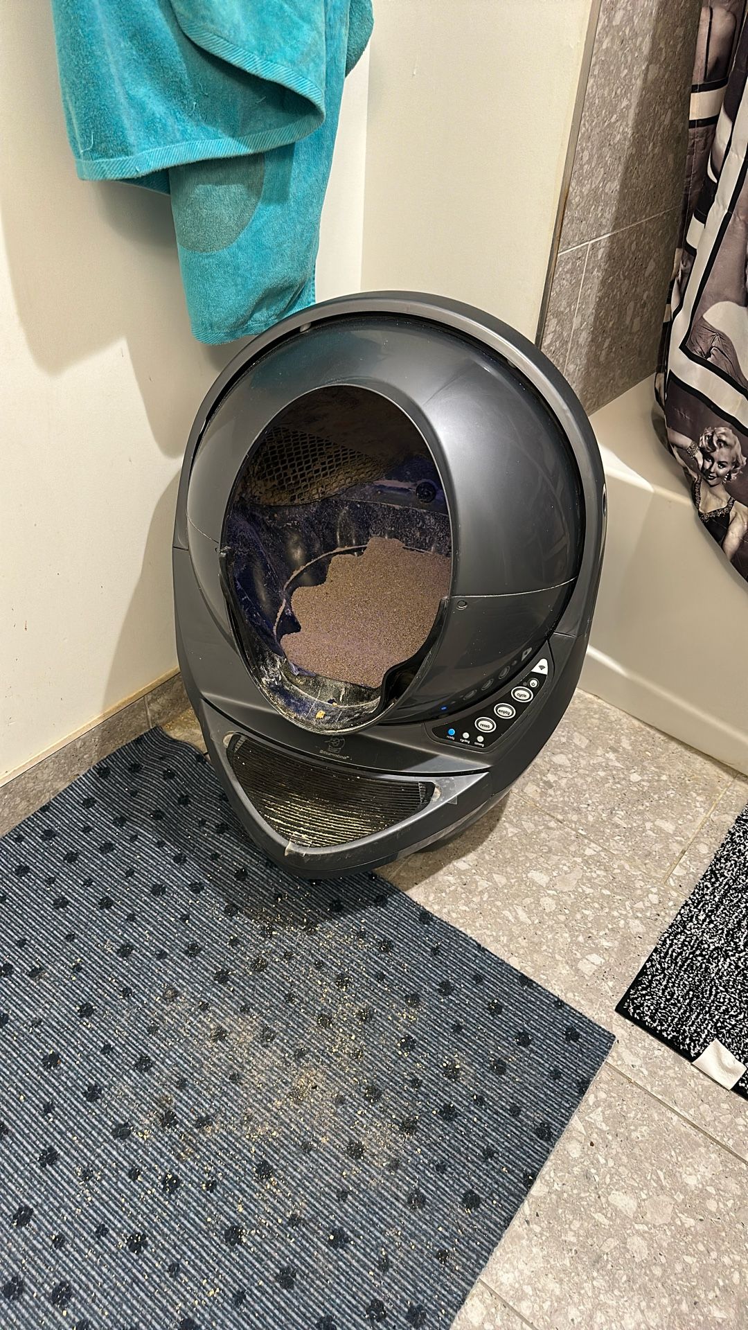 Litter Robot 3