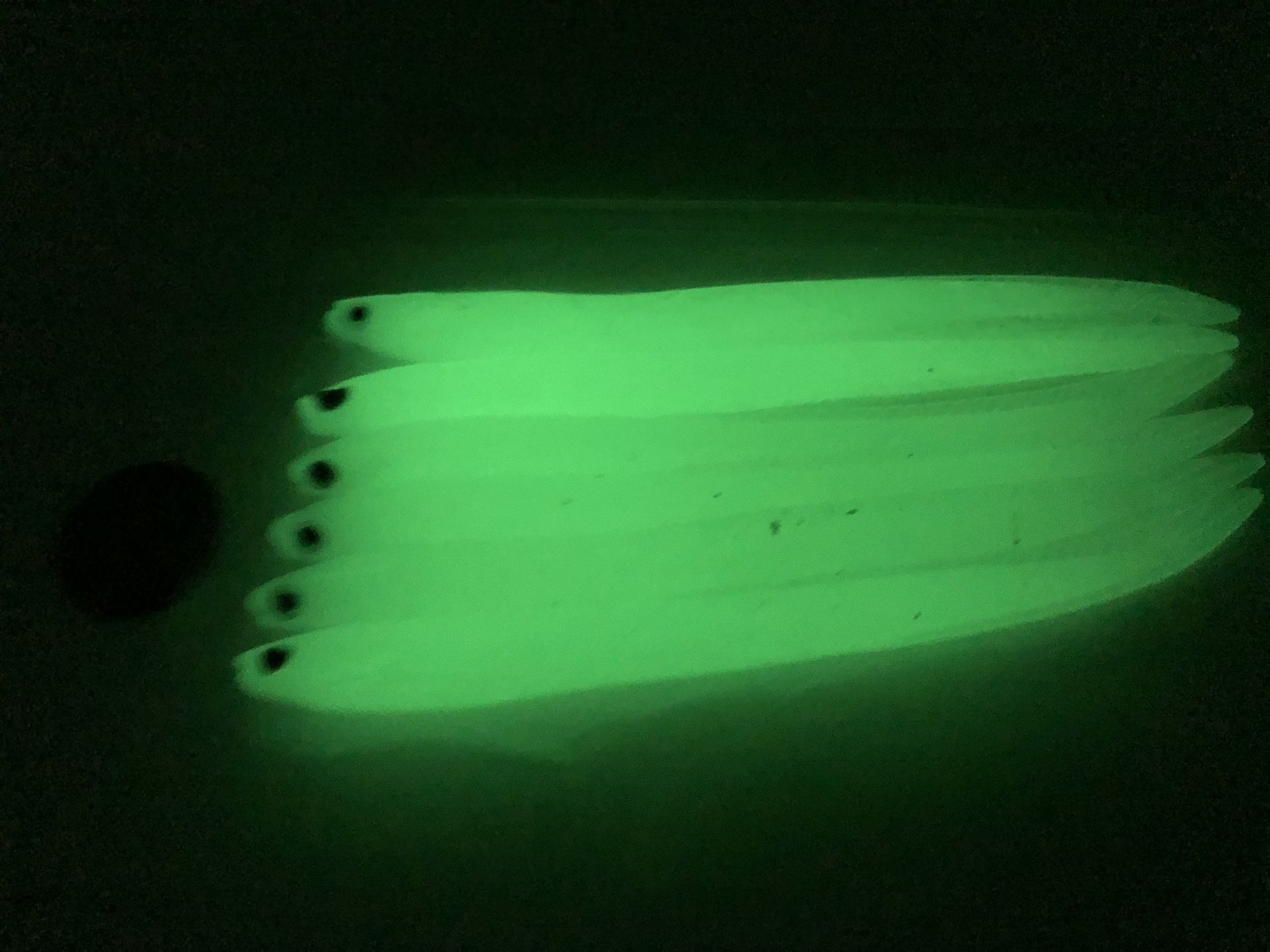 Fish Lures / Soft Bait