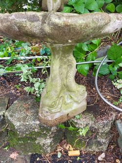 Cement bird bath frog and fish