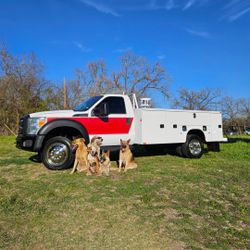 Service Utility Mechanics 19.5 