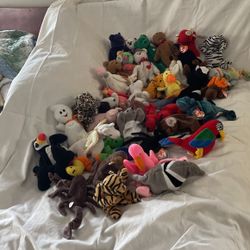 Ty Stuffed Animals 43 Original With Tickets