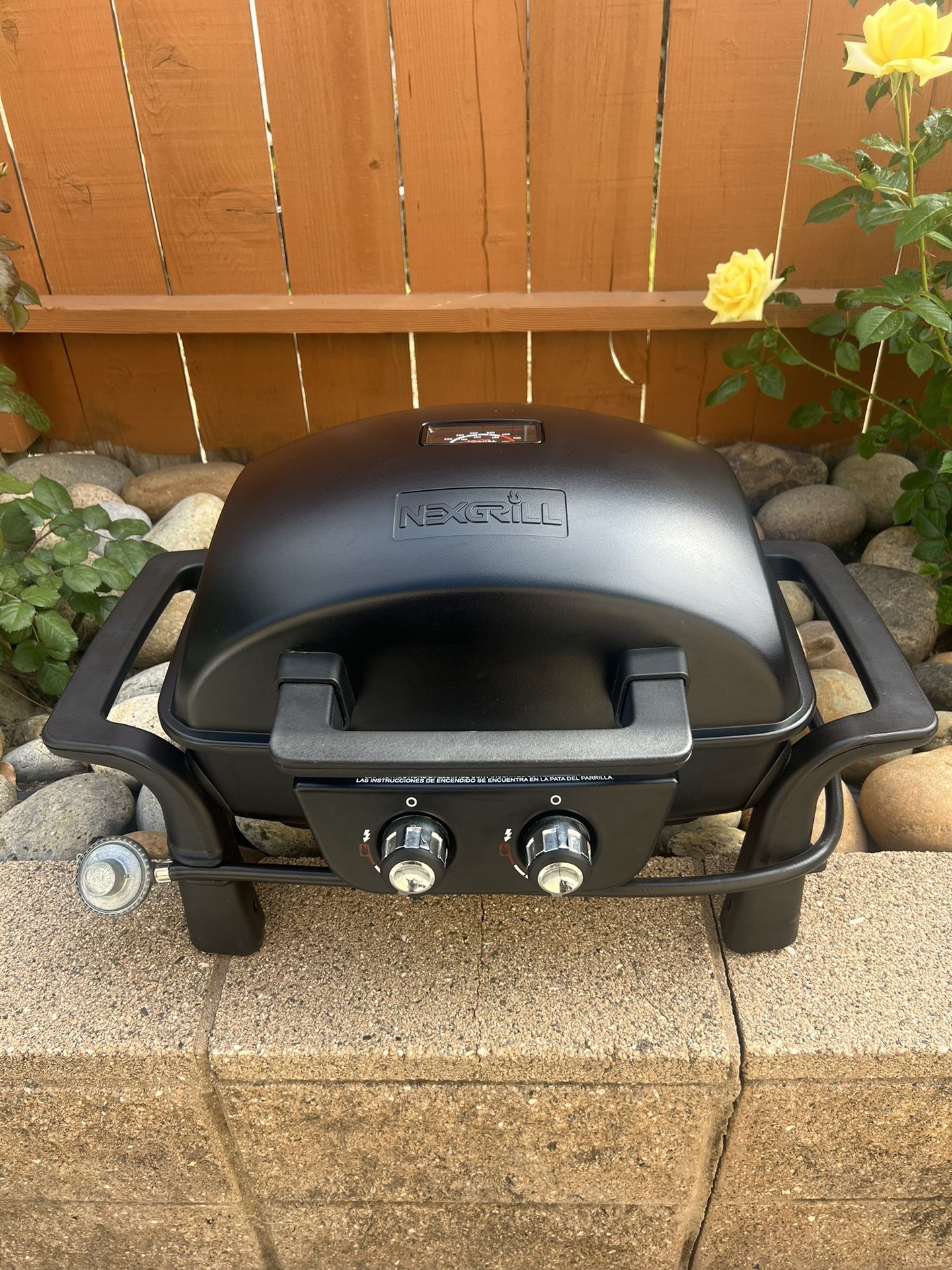 Portable propane grill