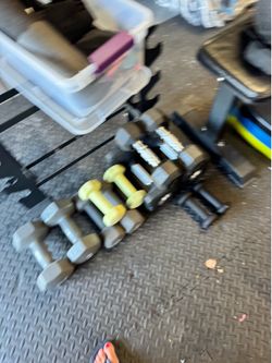 Home gym/weight rack/free weights & equipment/bench
