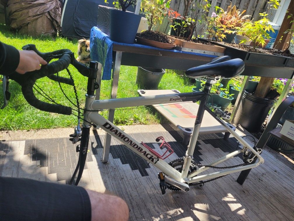 Bike Frame And Parts