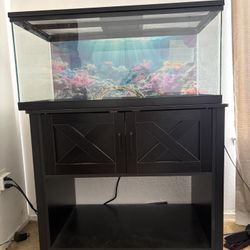 40 Gallon Tank & Stand