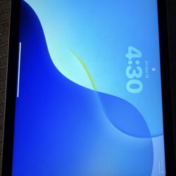 iPad 10th Generation Silver 