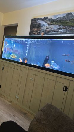 125 gallons fish tank
