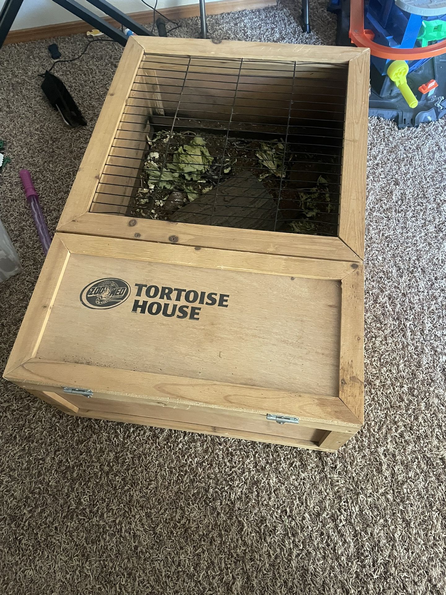 Tortoise house
