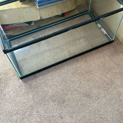 36” Glass Aquarium Tank – Excellent Condition