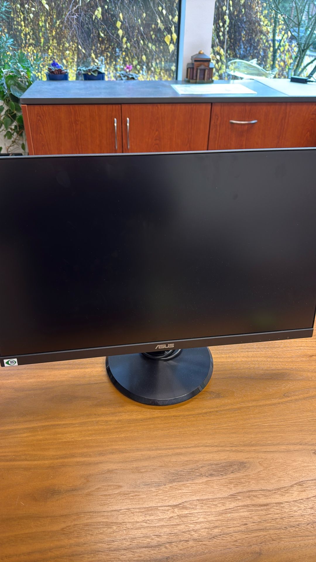 ASUS 24 Inch Monitor