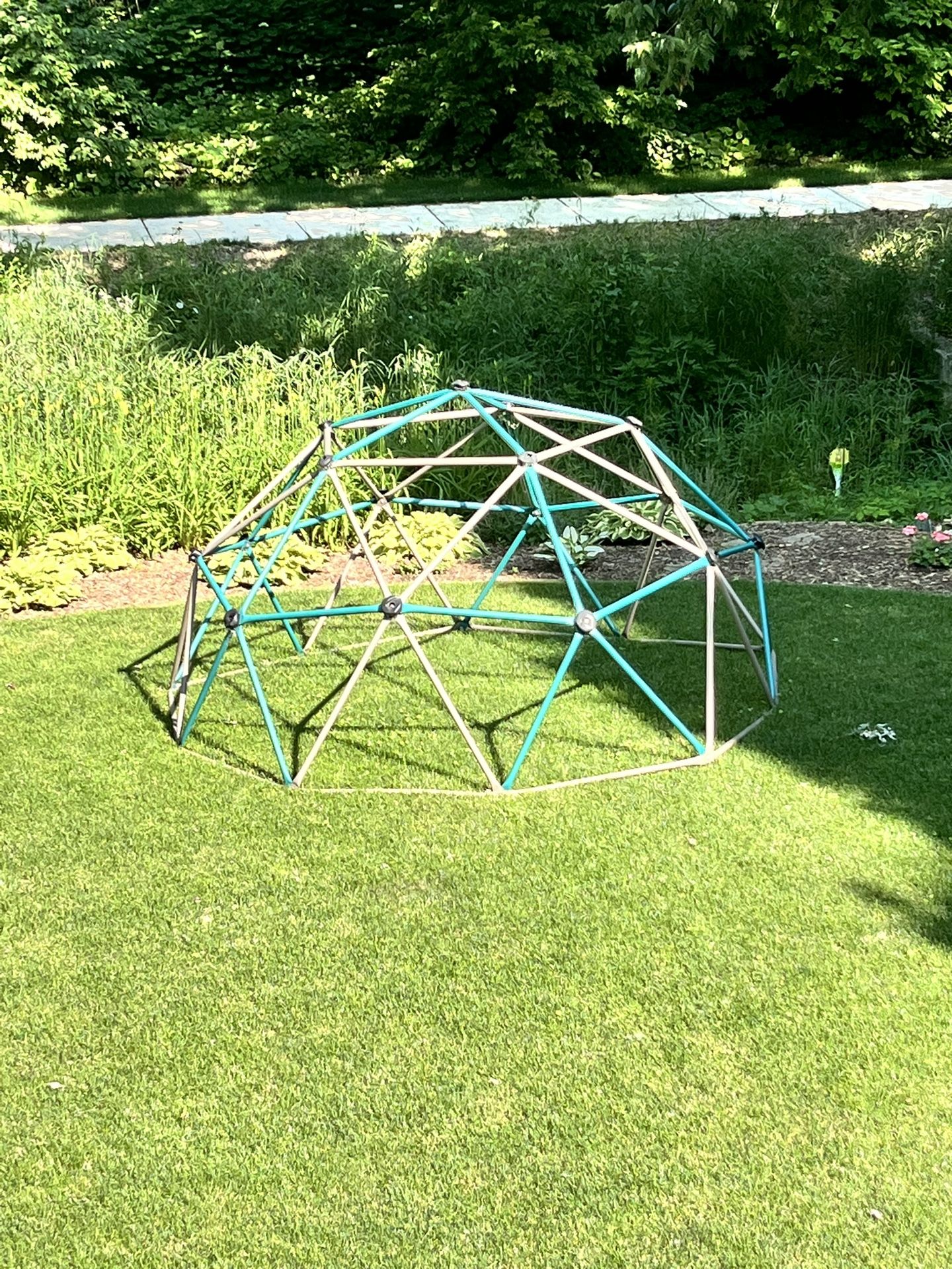 Lifetime Dome Climber