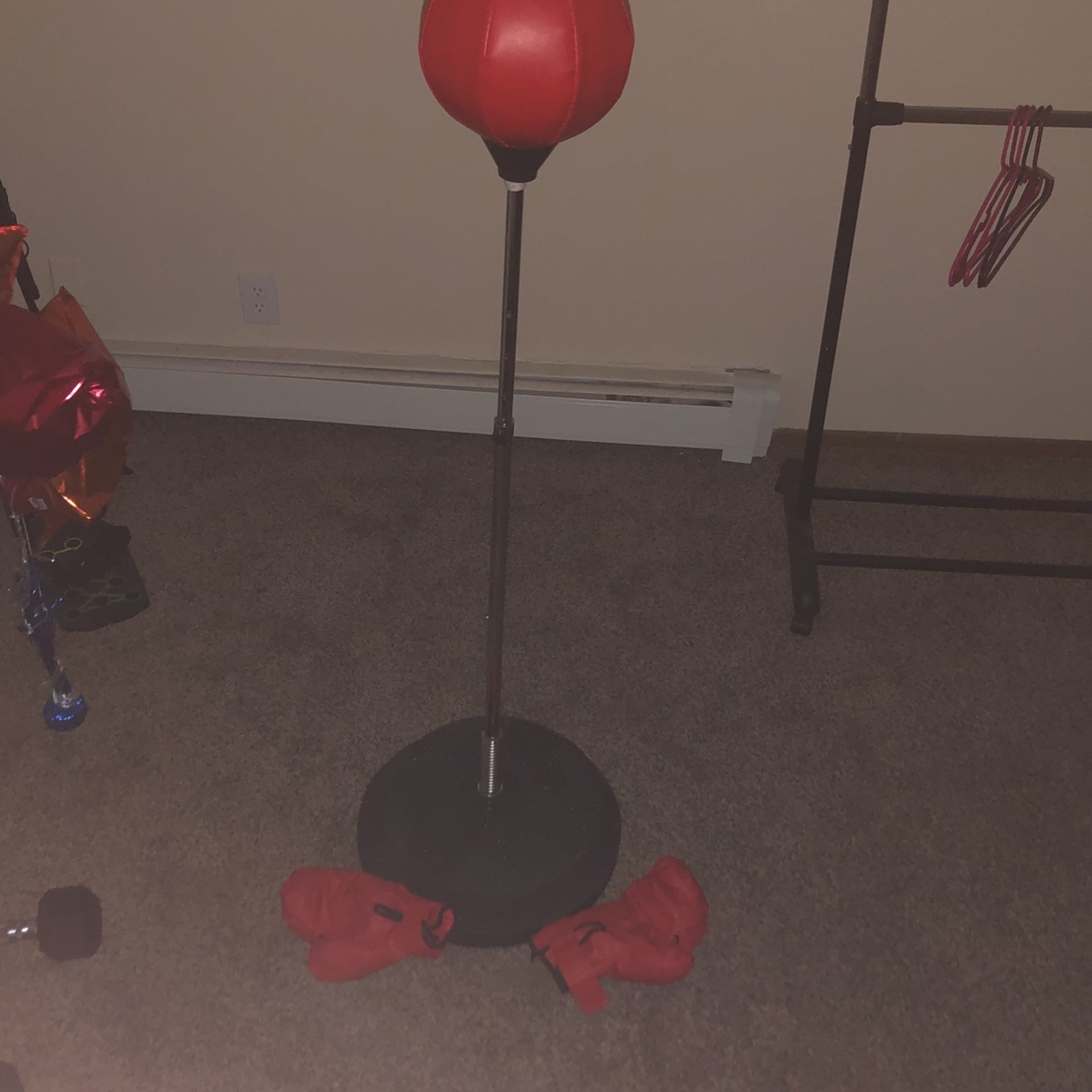 Punching Bag