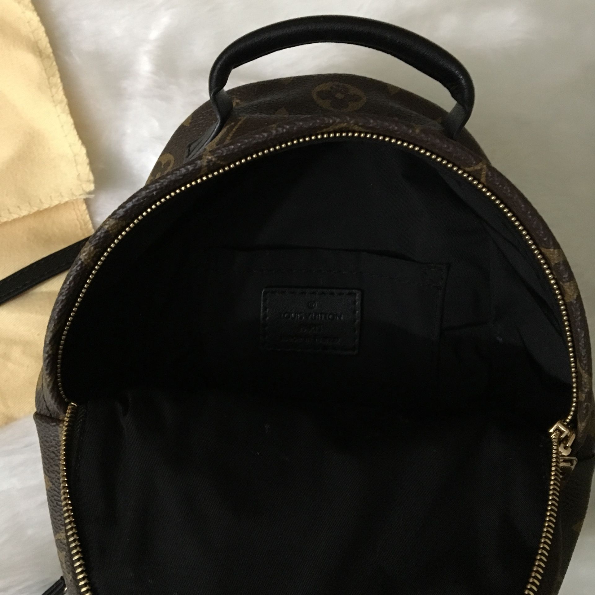 Louis Vuitton Palm Springs PM Backpack for Sale in Irving, TX - OfferUp