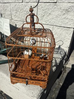 Bird Cages