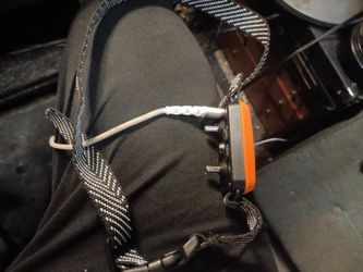 shock collar