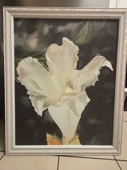 Flower picture paint