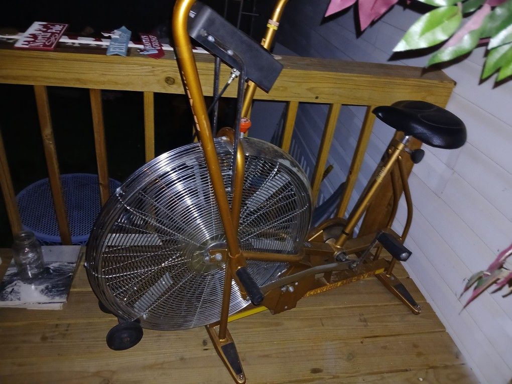 Vintage Schwinn Exercise Bike