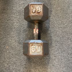 60lb Dumbbell 