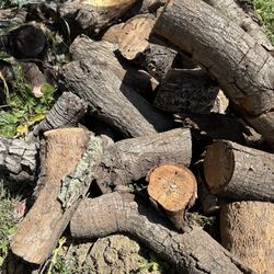 Oak Firewood 