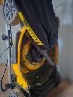 dewalt