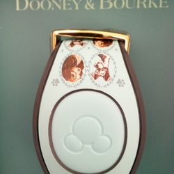 Magic band from Disneyland new in box $$