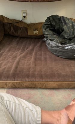 Orvis Large Memory Foam Dog Bed W Extra Cover Included 