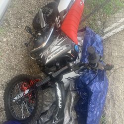2019 Apollo RFZ