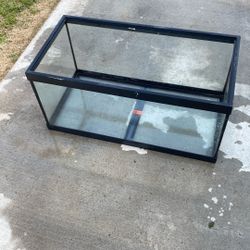 10 Gallon Aquarium 