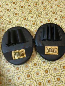 Everlast Punch Mitts