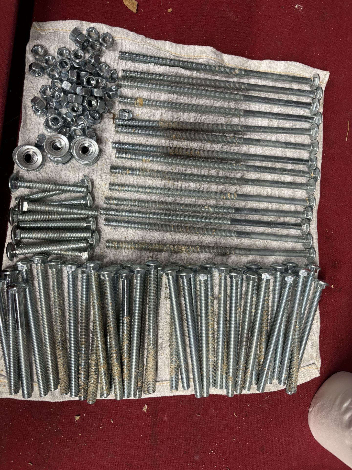 Screw Wood 3 Different Sizes All 60 Pices