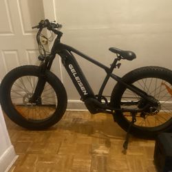 Electric fat tire mountain bike