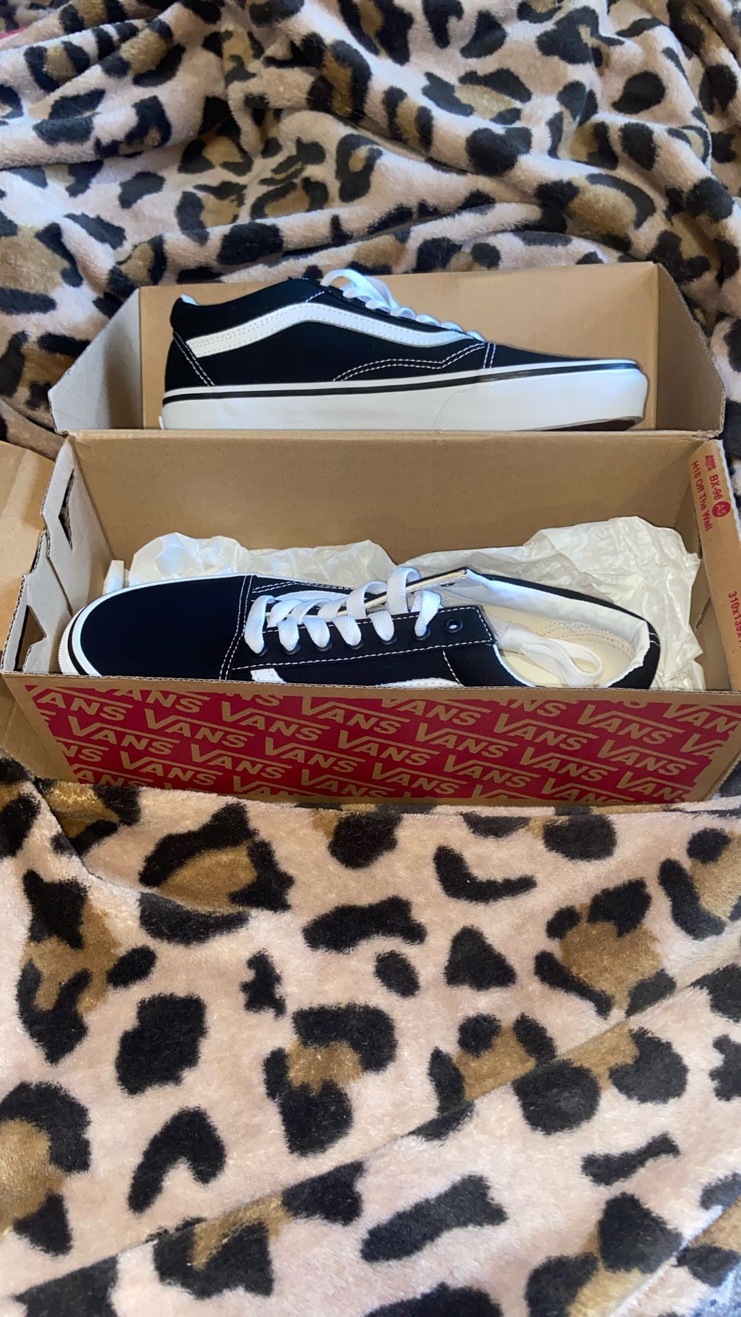 Women’s Vans