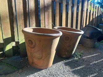 Large terracotta pots
