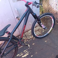 ***SANTA CRUZ JACKAL**