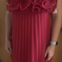 Zara Ruffle Pink/Red Hem Dress – New With Tags, Size M