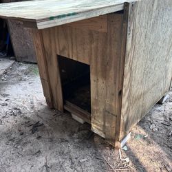 Dog House 