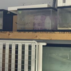 Fish Tanks For Sale $1 Per Gal