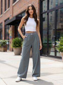 Alo Yoga trouser Pants in Gray