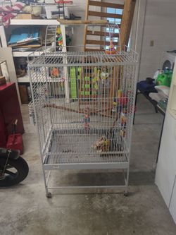 Bird cage