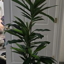 5ft Fake Plant