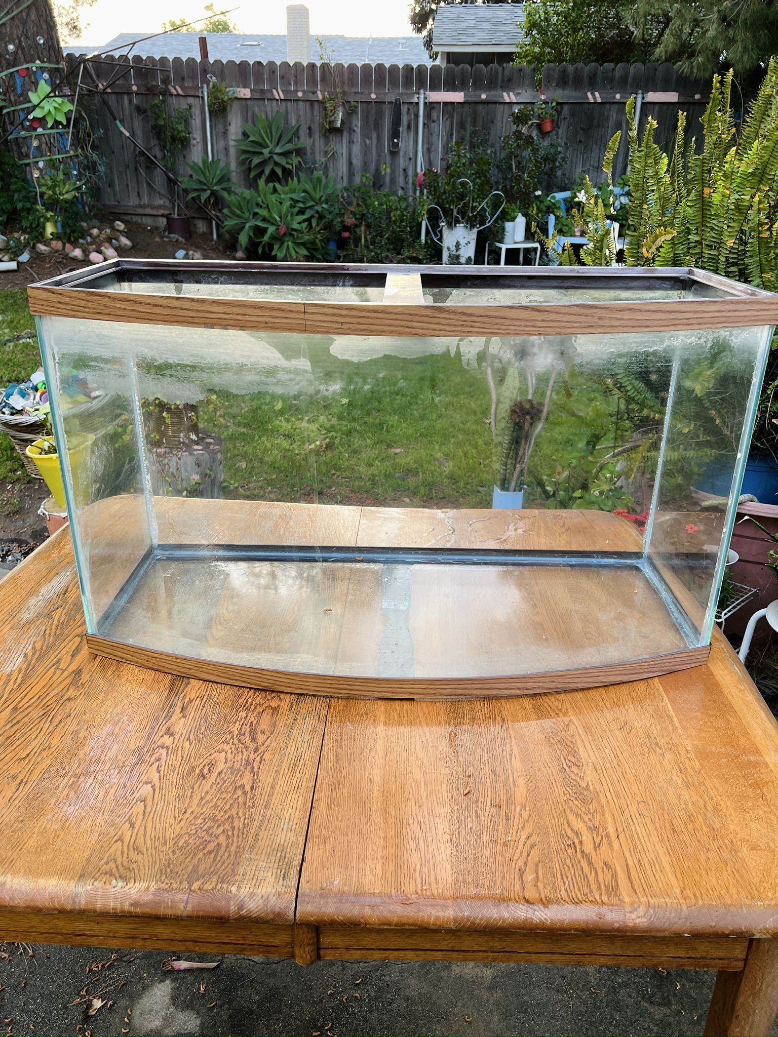 Fish Tank 