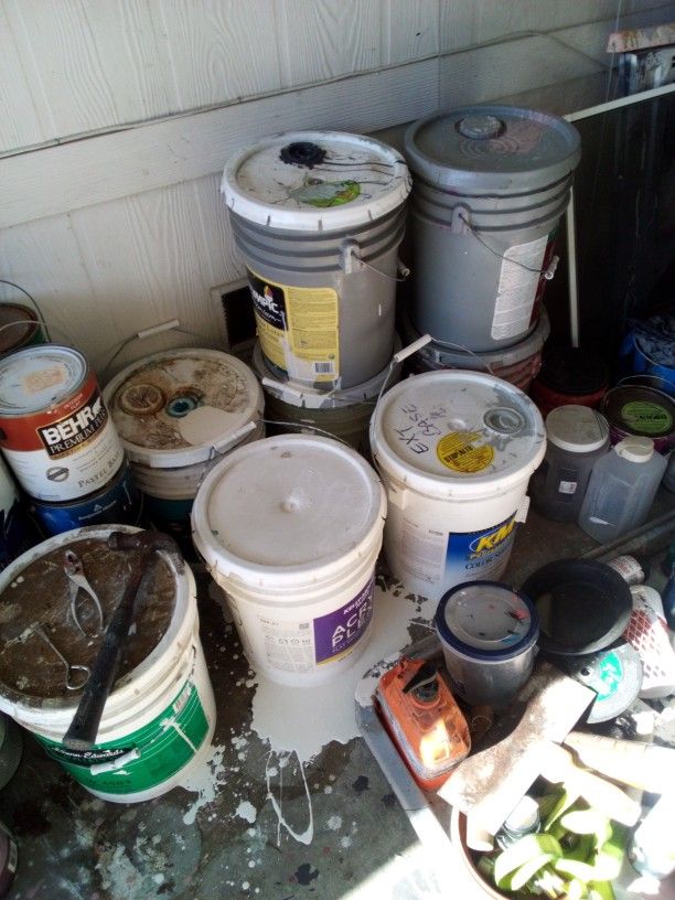 Different Colors 5 Gallons & 1 Gallons