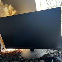 Computer Monitor