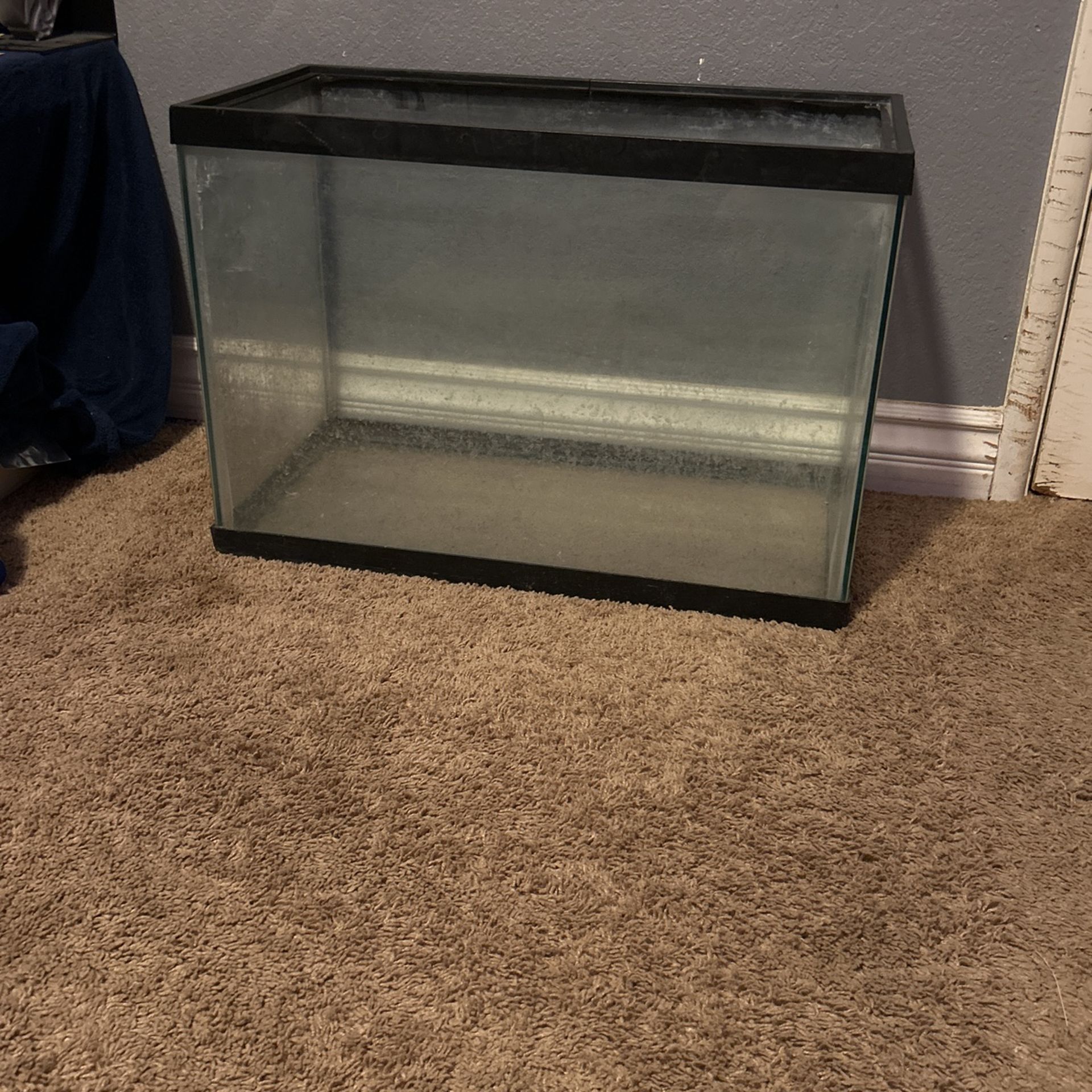 40 Gallon Fish Tank
